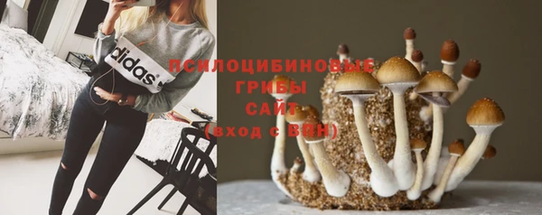 кокс Ладушкин