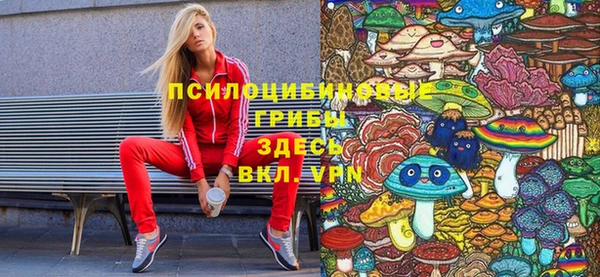 дмт Абинск