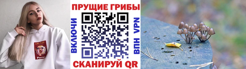 Галлюциногенные грибы MAGIC MUSHROOMS  купить наркотики сайты  Керчь 
