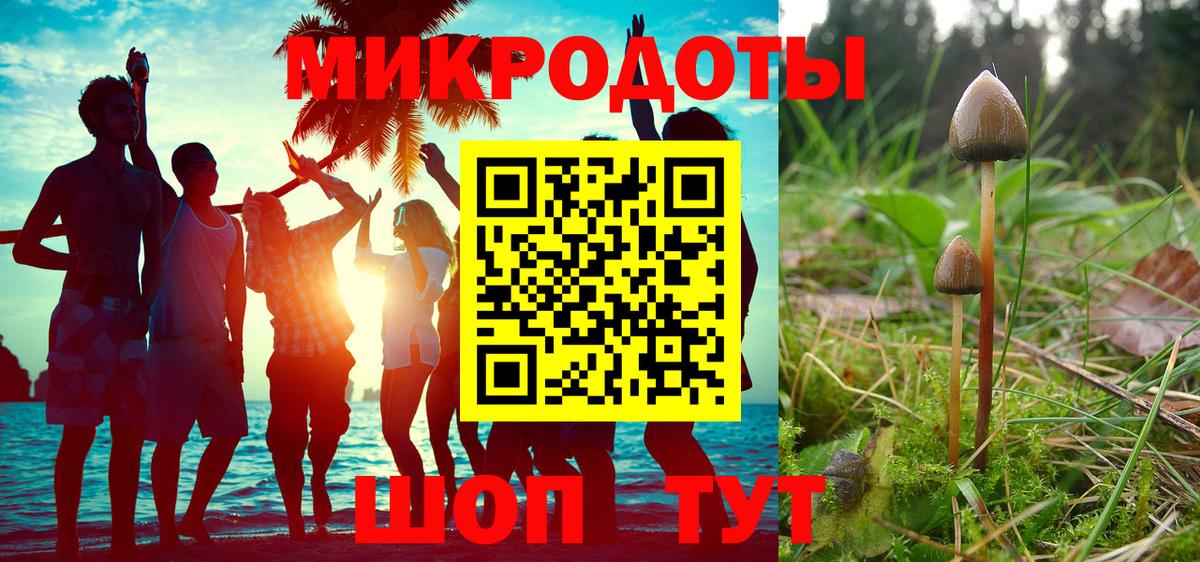 Псилоцибиновые грибы Psilocybe  Псилоцибиновые грибы Psilocybine cubensis  Керчь  Вход с VPN 